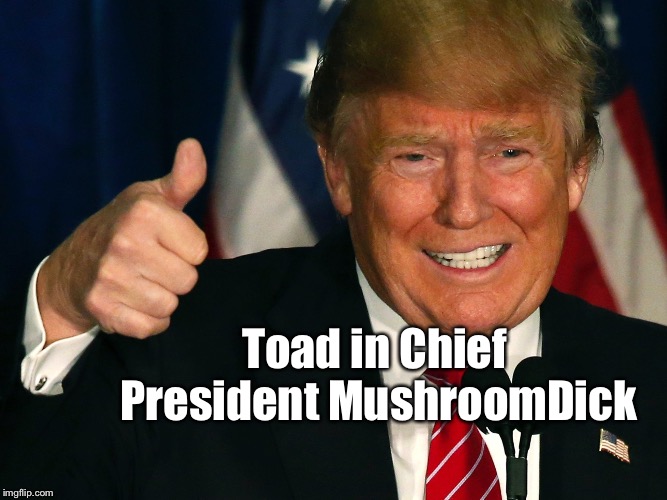 Toad in Chief President MushroomDick | image tagged in president mushroomdick | made w/ Imgflip meme maker