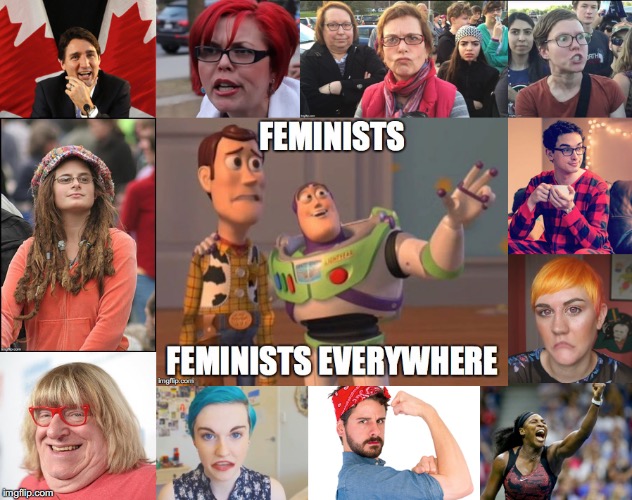 Woody looks scared | image tagged in feminists | made w/ Imgflip meme maker