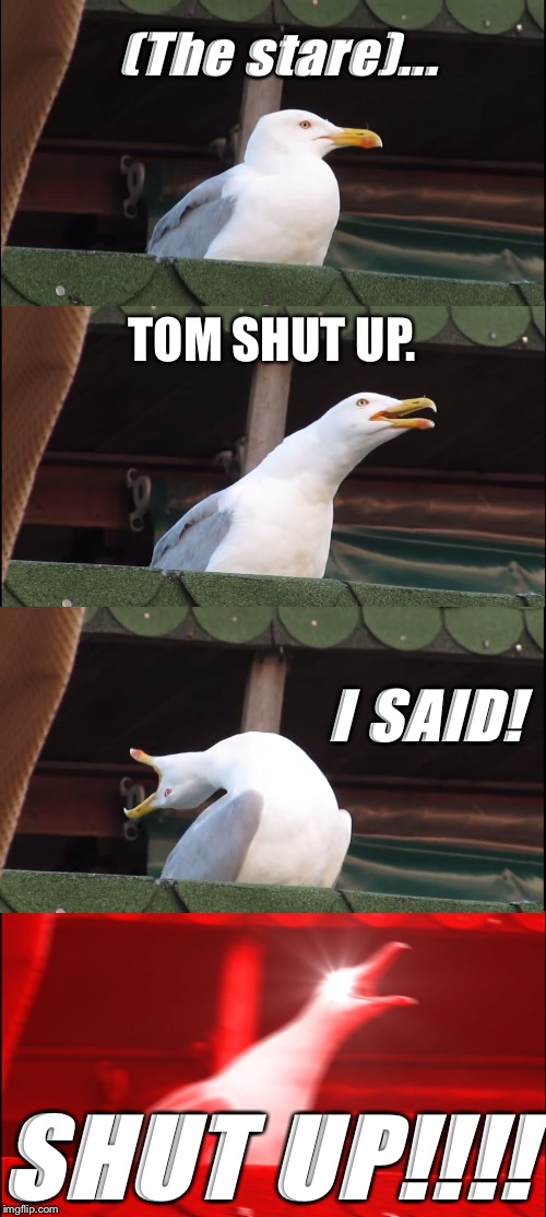 The  teacher  | (The stare)... TOM SHUT UP. I SAID! SHUT UP!!!! | image tagged in memes,inhaling seagull | made w/ Imgflip meme maker
