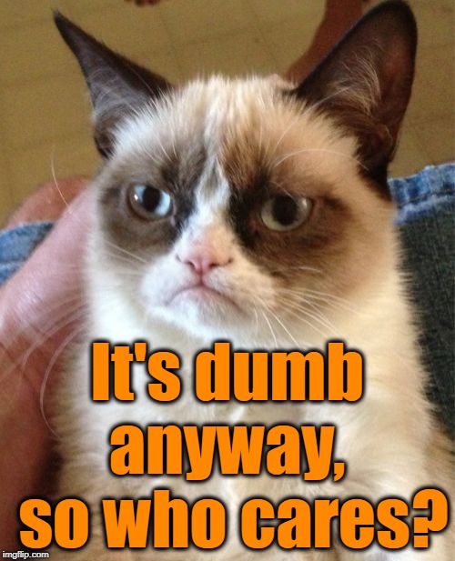 Grumpy Cat Meme | It's dumb anyway,  so who cares? | image tagged in memes,grumpy cat | made w/ Imgflip meme maker