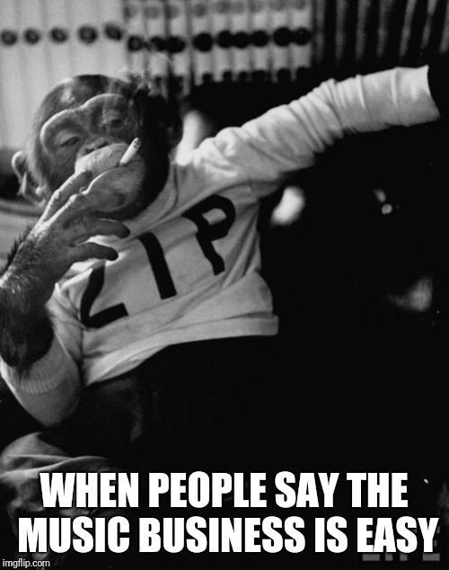 chimpy | WHEN PEOPLE SAY THE MUSIC BUSINESS IS EASY | image tagged in chimpy | made w/ Imgflip meme maker
