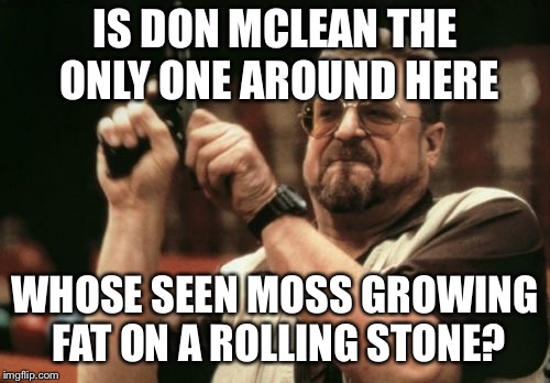 Am I The Only One Around Here | IS DON MCLEAN THE ONLY ONE AROUND HERE; WHOSE SEEN MOSS GROWING FAT ON A ROLLING STONE? | image tagged in memes,am i the only one around here | made w/ Imgflip meme maker