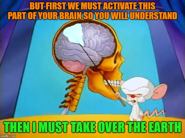 the brain | BUT FIRST WE MUST ACTIVATE THIS PART OF YOUR BRAIN SO YOU WILL UNDERSTAND THEN I MUST TAKE OVER THE EARTH | image tagged in the brain | made w/ Imgflip meme maker