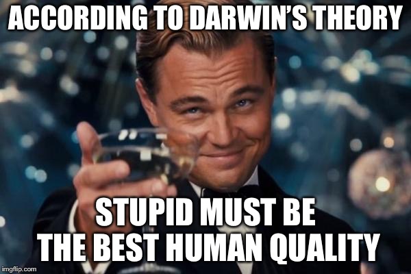 Leonardo Dicaprio Cheers Meme | ACCORDING TO DARWIN’S THEORY STUPID MUST BE THE BEST HUMAN QUALITY | image tagged in memes,leonardo dicaprio cheers | made w/ Imgflip meme maker