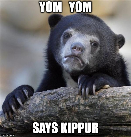 sad bear | YOM   YOM; SAYS KIPPUR | image tagged in sad bear | made w/ Imgflip meme maker