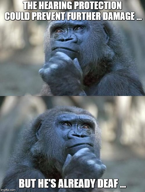 Thinking Gorilla On the One Hand | THE HEARING PROTECTION COULD PREVENT FURTHER DAMAGE ... BUT HE'S ALREADY DEAF ... | image tagged in thinking gorilla on the one hand | made w/ Imgflip meme maker
