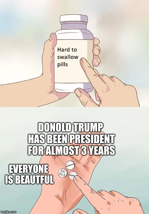 Hard To Swallow Pills Meme | DONOLD TRUMP HAS BEEN PRESIDENT FOR ALMOST 3 YEARS; EVERYONE IS BEAUTFUL | image tagged in memes,hard to swallow pills | made w/ Imgflip meme maker
