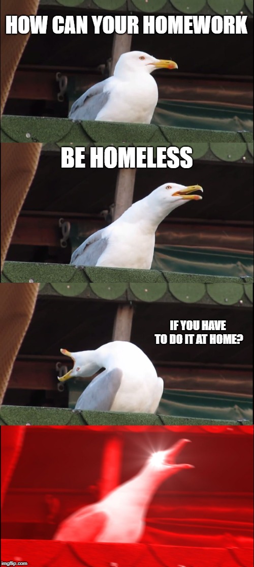 Inhaling Seagull Meme | HOW CAN YOUR HOMEWORK; BE HOMELESS; IF YOU HAVE TO DO IT AT HOME? | image tagged in memes,inhaling seagull | made w/ Imgflip meme maker
