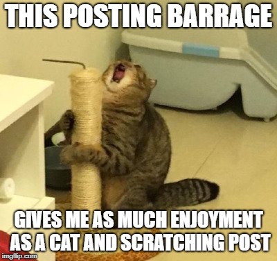 enjoying too much cat | THIS POSTING BARRAGE; GIVES ME AS MUCH ENJOYMENT AS A CAT AND SCRATCHING POST | image tagged in enjoying too much cat | made w/ Imgflip meme maker
