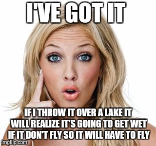 Dumb blonde | I'VE GOT IT IF I THROW IT OVER A LAKE IT WILL REALIZE IT'S GOING TO GET WET IF IT DON'T FLY SO IT WILL HAVE TO FLY | image tagged in dumb blonde | made w/ Imgflip meme maker