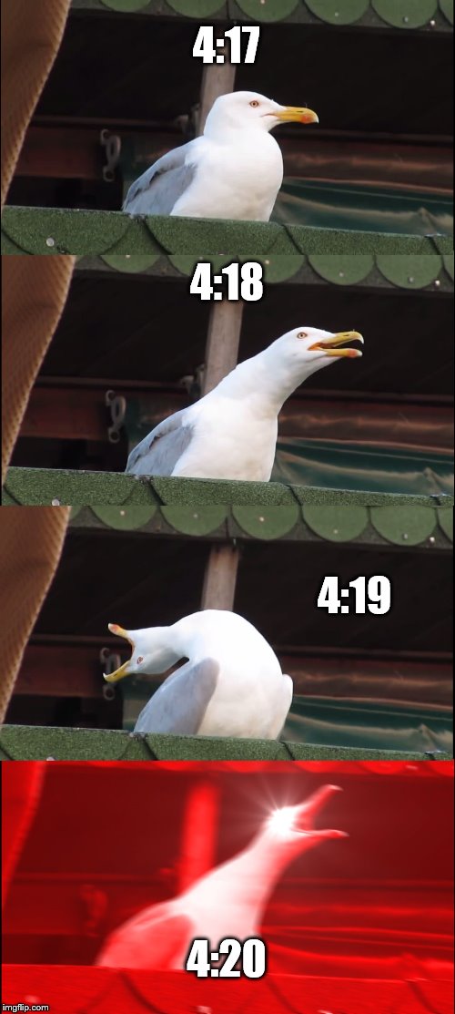 Inhaling Seagull Meme | 4:17; 4:18; 4:19; 4:20 | image tagged in memes,inhaling seagull | made w/ Imgflip meme maker