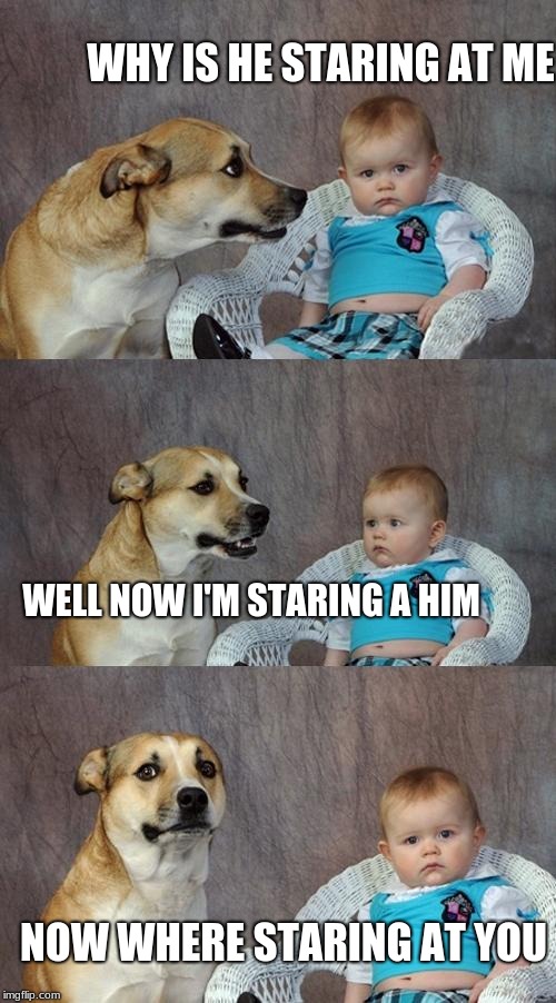Dad Joke Dog | WHY IS HE STARING AT ME; WELL NOW I'M STARING A HIM; NOW WHERE STARING AT YOU | image tagged in memes,dad joke dog | made w/ Imgflip meme maker