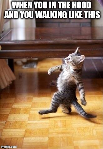 Cool Cat Stroll | WHEN YOU IN THE HOOD AND YOU WALKING LIKE THIS | image tagged in memes,cool cat stroll | made w/ Imgflip meme maker