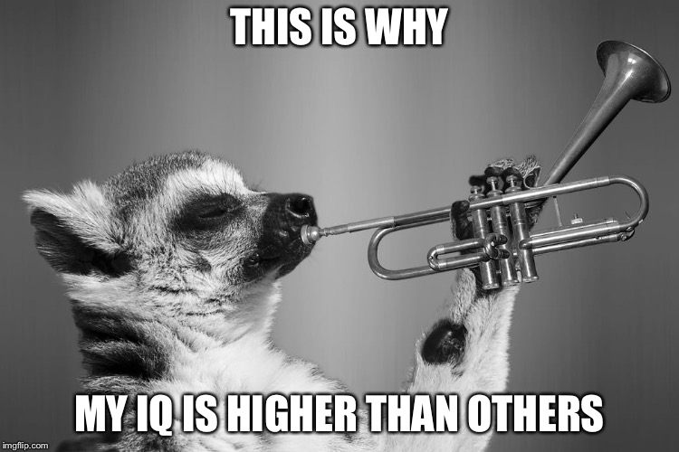 My IQ is higher than the rest | THIS IS WHY; MY IQ IS HIGHER THAN OTHERS | image tagged in iq,higher education,smart guy | made w/ Imgflip meme maker