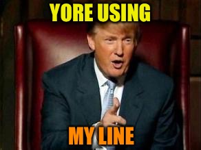 Donald Trump | YORE USING MY LINE | image tagged in donald trump | made w/ Imgflip meme maker