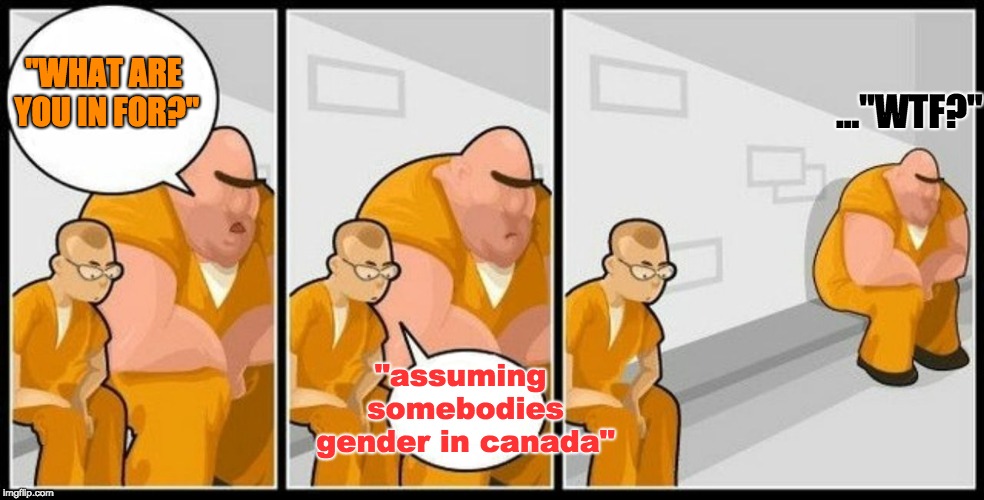 What are you in for? |  ..."WTF?"; "WHAT ARE YOU IN FOR?"; "assuming somebodies gender in canada" | image tagged in what are you in for | made w/ Imgflip meme maker
