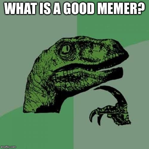 Philosoraptor Meme | WHAT IS A GOOD MEMER? | image tagged in memes,philosoraptor | made w/ Imgflip meme maker