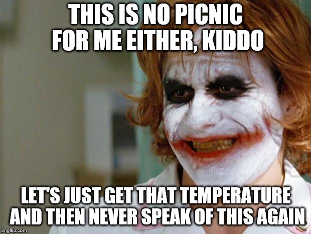 Joker Nurse | THIS IS NO PICNIC FOR ME EITHER, KIDDO LET'S JUST GET THAT TEMPERATURE AND THEN NEVER SPEAK OF THIS AGAIN | image tagged in joker nurse | made w/ Imgflip meme maker