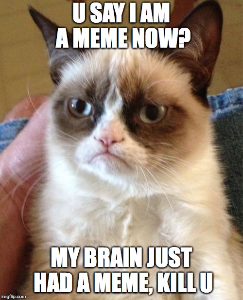 Grumpy Cat Meme | U SAY I AM A MEME NOW? MY BRAIN JUST HAD A MEME, KILL U | image tagged in memes,grumpy cat | made w/ Imgflip meme maker