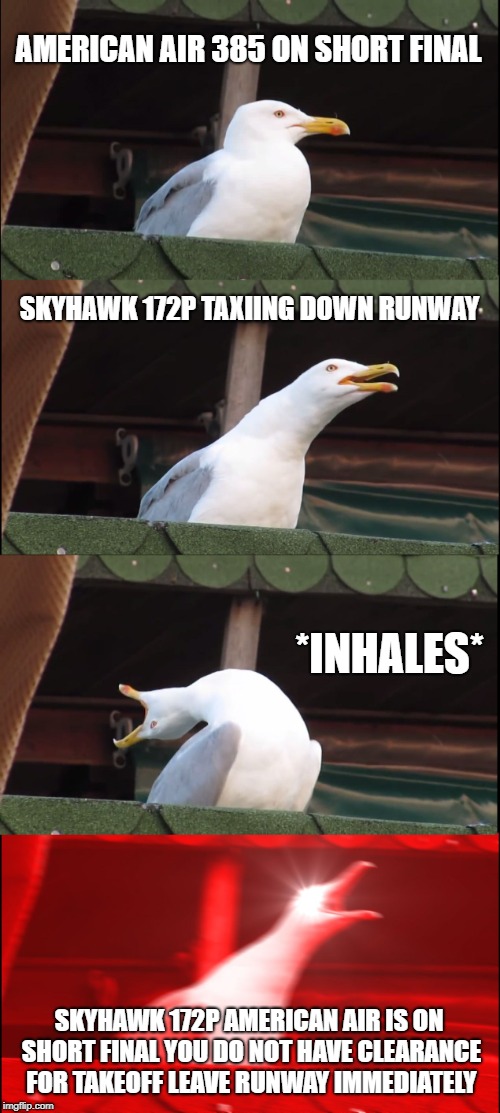 Inhaling Seagull Meme | AMERICAN AIR 385 ON SHORT FINAL; SKYHAWK 172P TAXIING DOWN RUNWAY; *INHALES*; SKYHAWK 172P AMERICAN AIR IS ON SHORT FINAL YOU DO NOT HAVE CLEARANCE FOR TAKEOFF LEAVE RUNWAY IMMEDIATELY | image tagged in memes,inhaling seagull | made w/ Imgflip meme maker