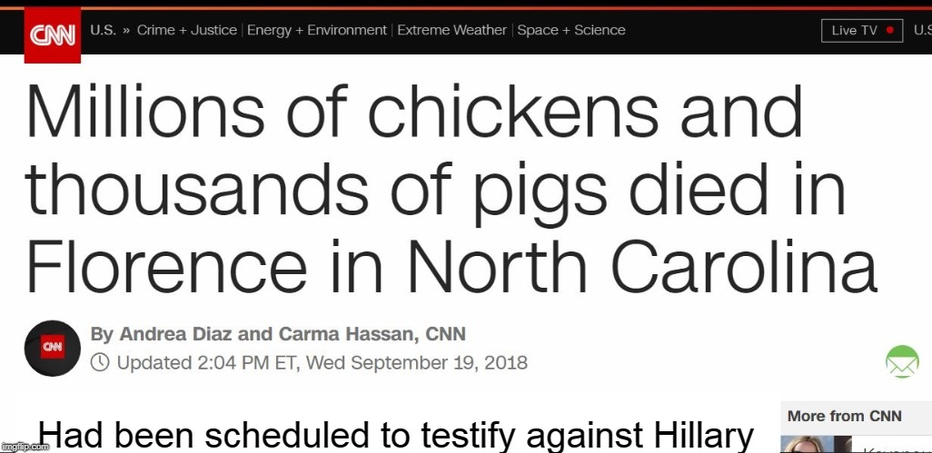 Florence chickens | Had been scheduled to testify against Hillary | image tagged in hillary,testimony,hurricane | made w/ Imgflip meme maker