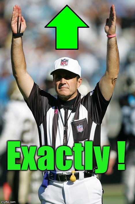 TOUCHDOWN! | Exactly ! | image tagged in touchdown | made w/ Imgflip meme maker