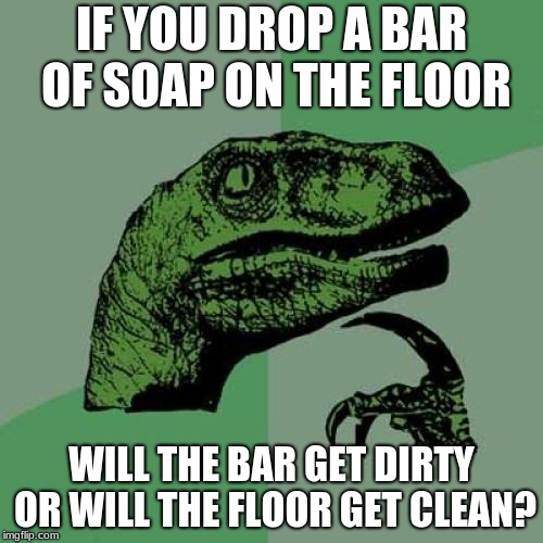 Philosoraptor Meme | IF YOU DROP A BAR OF SOAP ON THE FLOOR; WILL THE BAR GET DIRTY OR WILL THE FLOOR GET CLEAN? | image tagged in memes,philosoraptor | made w/ Imgflip meme maker