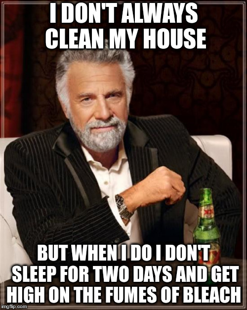 The Most Interesting Man In The World | I DON'T ALWAYS CLEAN MY HOUSE; BUT WHEN I DO I DON'T SLEEP FOR TWO DAYS AND GET HIGH ON THE FUMES OF BLEACH | image tagged in memes,the most interesting man in the world | made w/ Imgflip meme maker