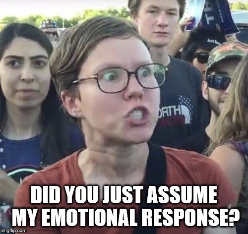 Triggered feminist | DID YOU JUST ASSUME MY EMOTIONAL RESPONSE? | image tagged in triggered feminist | made w/ Imgflip meme maker