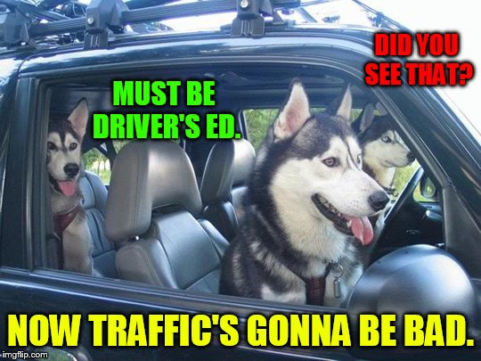 DID YOU SEE THAT? NOW TRAFFIC'S GONNA BE BAD. MUST BE DRIVER'S ED. | made w/ Imgflip meme maker