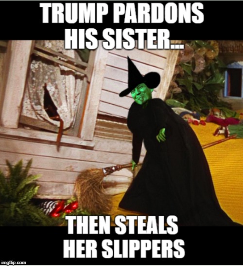 WITCH HUNT... | image tagged in president trump,political meme,political humor,wizard of oz,wicked witch of the west | made w/ Imgflip meme maker