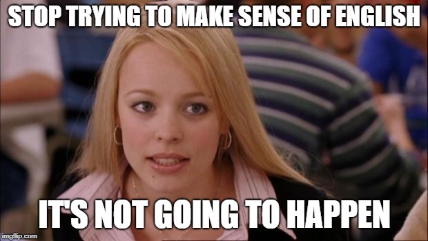 Its Not Going To Happen Meme | STOP TRYING TO MAKE SENSE OF ENGLISH IT'S NOT GOING TO HAPPEN | image tagged in memes,its not going to happen | made w/ Imgflip meme maker
