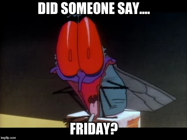 Friday | DID SOMEONE SAY.... FRIDAY? | image tagged in friday,fly | made w/ Imgflip meme maker