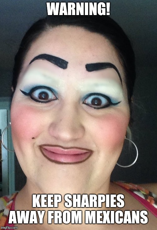 Sharpie eyebrows | WARNING! KEEP SHARPIES AWAY FROM MEXICANS | image tagged in sharpie eyebrows | made w/ Imgflip meme maker