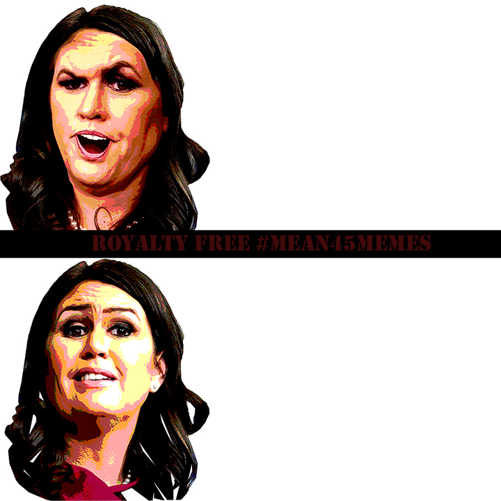 High Quality Sarah Sanders Before After Blank Meme Template
