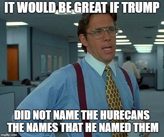 That Would Be Great | IT WOULD BE GREAT IF TRUMP; DID NOT NAME THE HURECANS THE NAMES THAT HE NAMED THEM | image tagged in memes,that would be great | made w/ Imgflip meme maker
