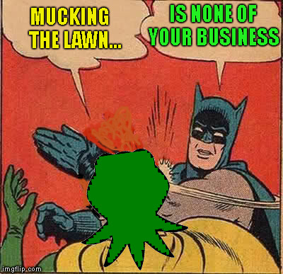 MUCKING   THE LAWN... IS NONE OF YOUR BUSINESS | made w/ Imgflip meme maker