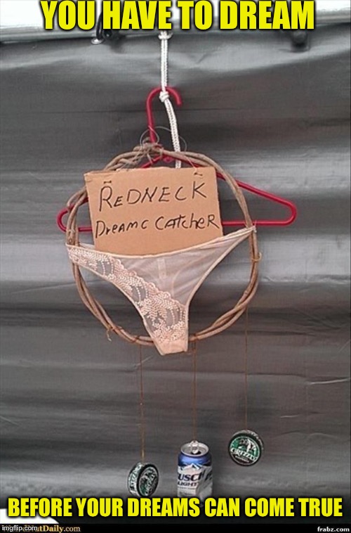 Redneck dream catcher  | YOU HAVE TO DREAM; BEFORE YOUR DREAMS CAN COME TRUE | image tagged in dreamcatcher,meme,funny,redneck | made w/ Imgflip meme maker