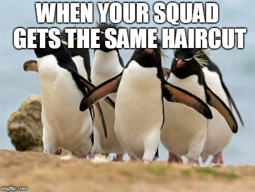 Penguin Gang Meme | WHEN YOUR SQUAD GETS THE SAME HAIRCUT | image tagged in memes,penguin gang | made w/ Imgflip meme maker