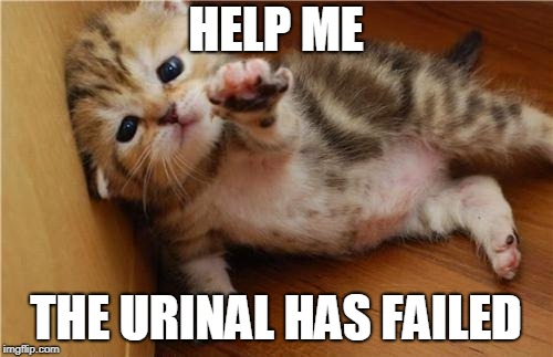 Help Me Kitten | HELP ME THE URINAL HAS FAILED | image tagged in help me kitten | made w/ Imgflip meme maker