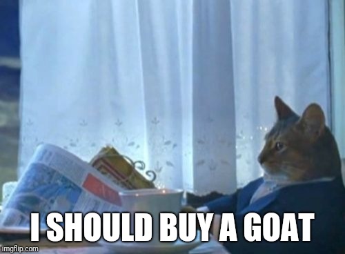 I Should Buy A Boat Cat Meme | I SHOULD BUY A GOAT | image tagged in memes,i should buy a boat cat | made w/ Imgflip meme maker