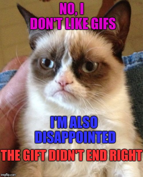 Grumpy Cat Meme | NO, I DON'T LIKE GIFS I'M ALSO DISAPPOINTED THE GIFT DIDN'T END RIGHT | image tagged in memes,grumpy cat | made w/ Imgflip meme maker