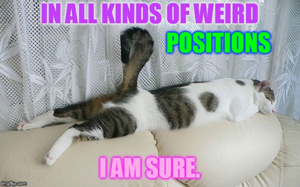 IN ALL KINDS OF WEIRD I AM SURE. POSITIONS | made w/ Imgflip meme maker