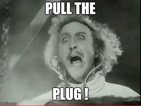 Young Frankenstein | PULL THE PLUG ! | image tagged in young frankenstein | made w/ Imgflip meme maker