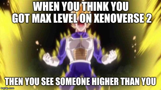 vegeta |  WHEN YOU THINK YOU GOT MAX LEVEL ON XENOVERSE 2; THEN YOU SEE SOMEONE HIGHER THAN YOU | image tagged in vegeta | made w/ Imgflip meme maker