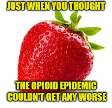 Strawberry | JUST WHEN YOU THOUGHT THE OPIOID EPIDEMIC COULDN'T GET ANY WORSE | image tagged in strawberry | made w/ Imgflip meme maker