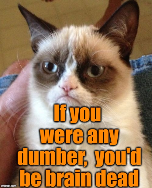Grumpy Cat Meme | If you were any dumber,  you'd be brain dead | image tagged in memes,grumpy cat | made w/ Imgflip meme maker