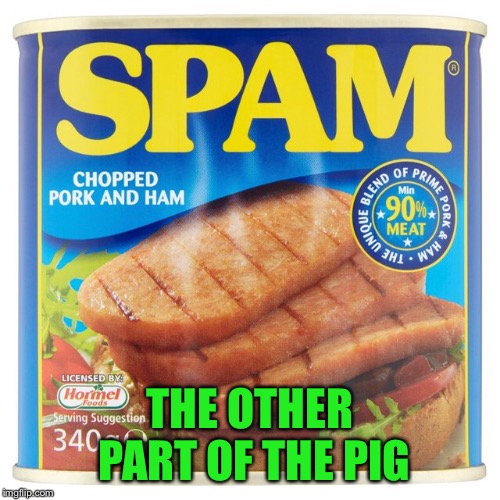 Believe in something, even if it isn’t real meat! | THE OTHER PART OF THE PIG | image tagged in spam,colin kaepernick,nike,memes | made w/ Imgflip meme maker