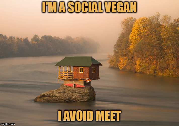 Now get out of my lawn | I'M A SOCIAL VEGAN; I AVOID MEET | image tagged in memes,antisocial | made w/ Imgflip meme maker