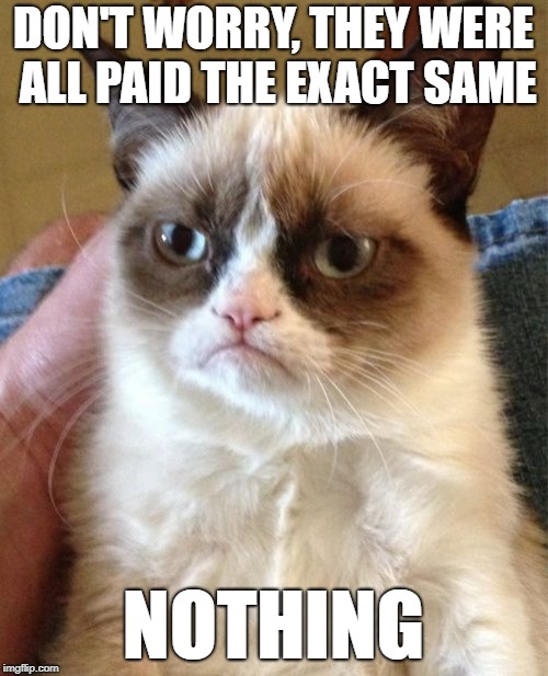 Grumpy Cat Meme | DON'T WORRY, THEY WERE ALL PAID THE EXACT SAME NOTHING | image tagged in memes,grumpy cat | made w/ Imgflip meme maker